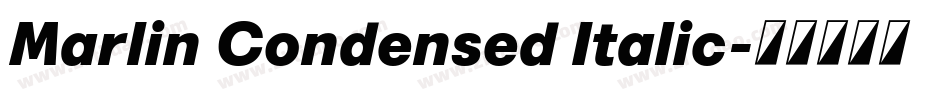 Marlin Condensed Italic字体转换